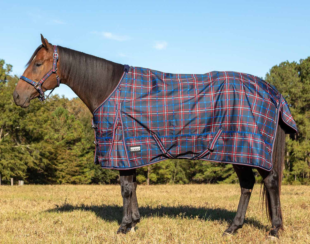 Jeffers Poplar Head – "Origin" 600D Medium Weight Turnout Blanket, 240g | Waterproof & Breathable Horse Blanket