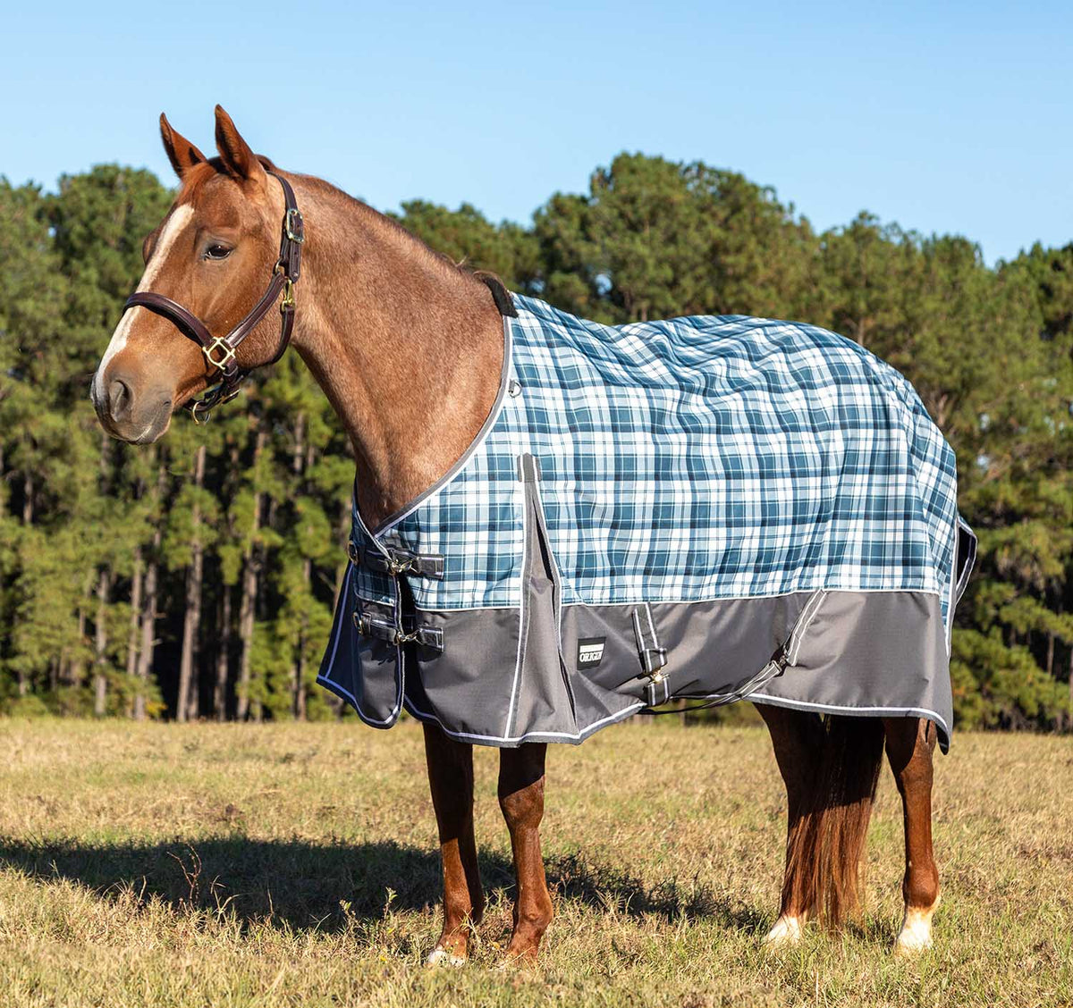 Jeffers Poplar Head – "Origin" 600D Medium Weight Turnout Blanket, 240g | Waterproof & Breathable Horse Blanket
