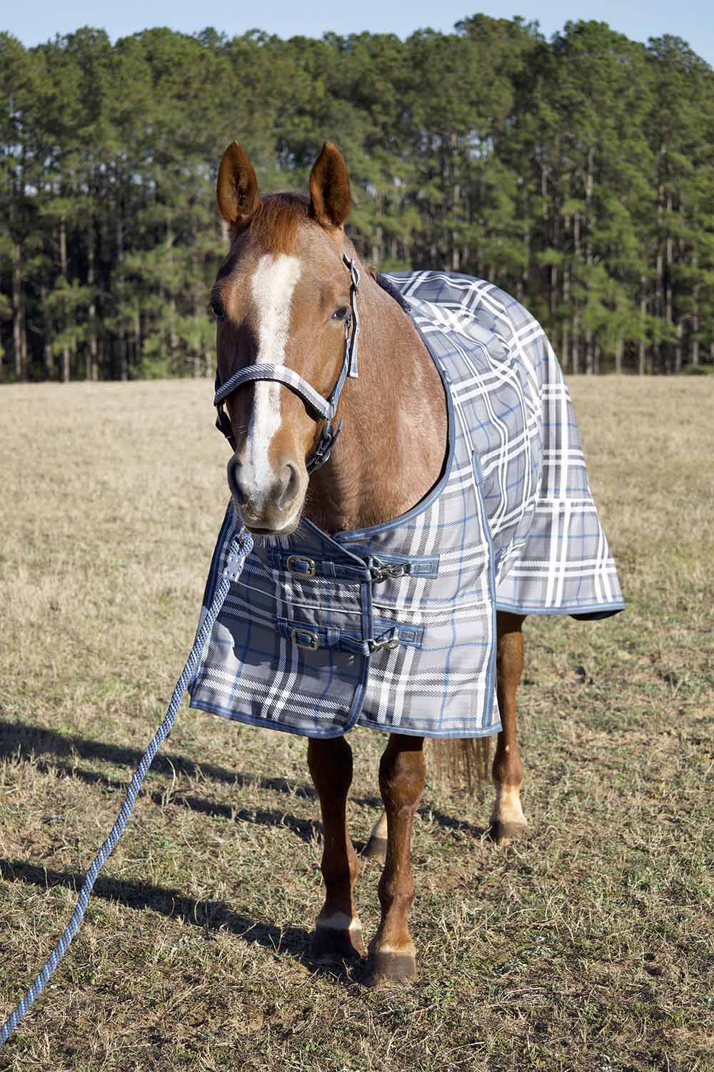 Jeffers Poplar Head – "Refuge" 1200D Medium Weight Turnout Blanket, 240g - Waterproof, Breathable Horse Blanket