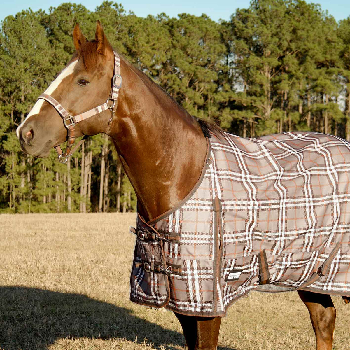 Jeffers Poplar Head – "Refuge" 1200D Medium Weight Turnout Blanket, 240g - Waterproof, Breathable Horse Blanket
