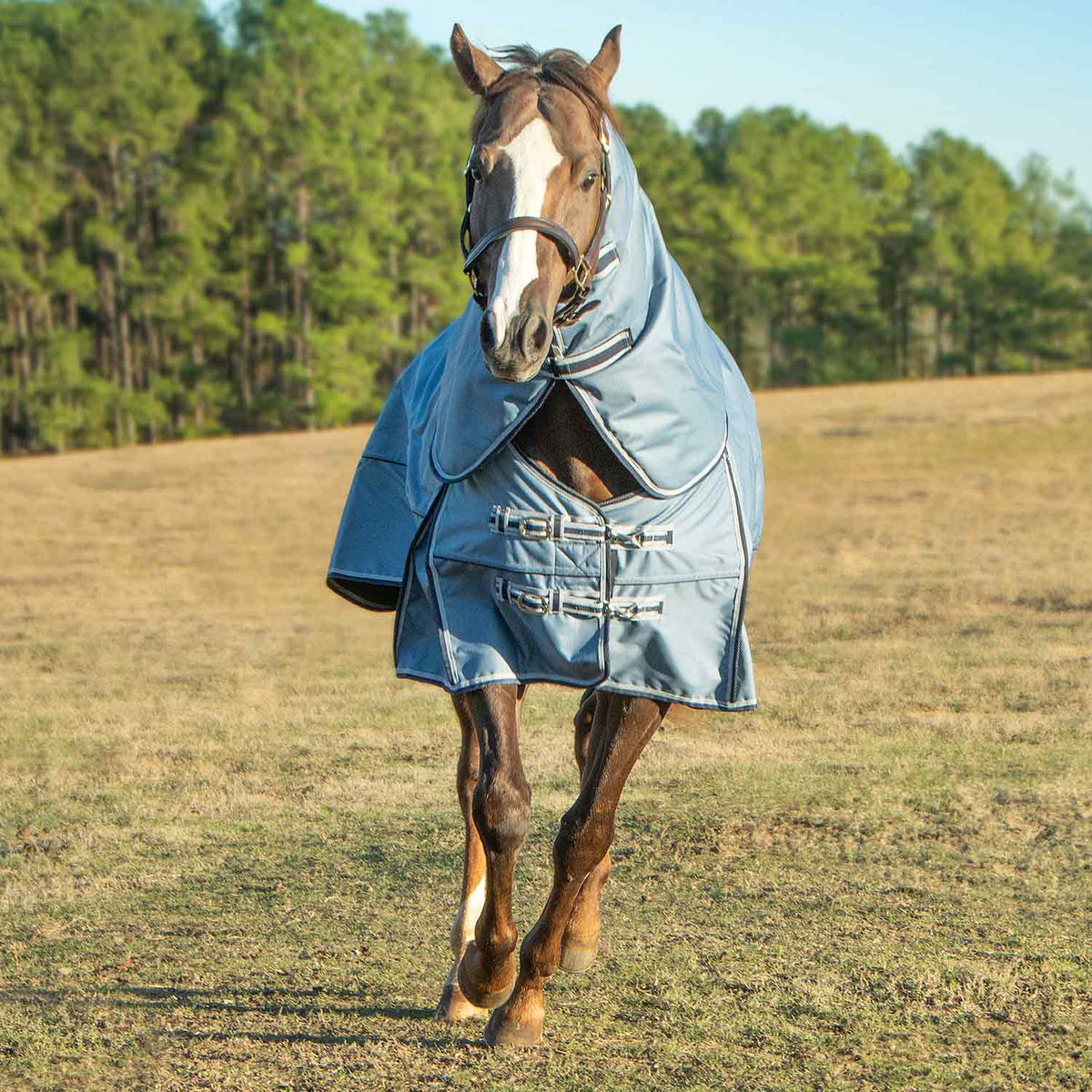 Jeffers Poplar Head – "Refuge" 1200 Denier Turnout Blanket with Detachable Neck, 240 Gram, Hamilton Blue