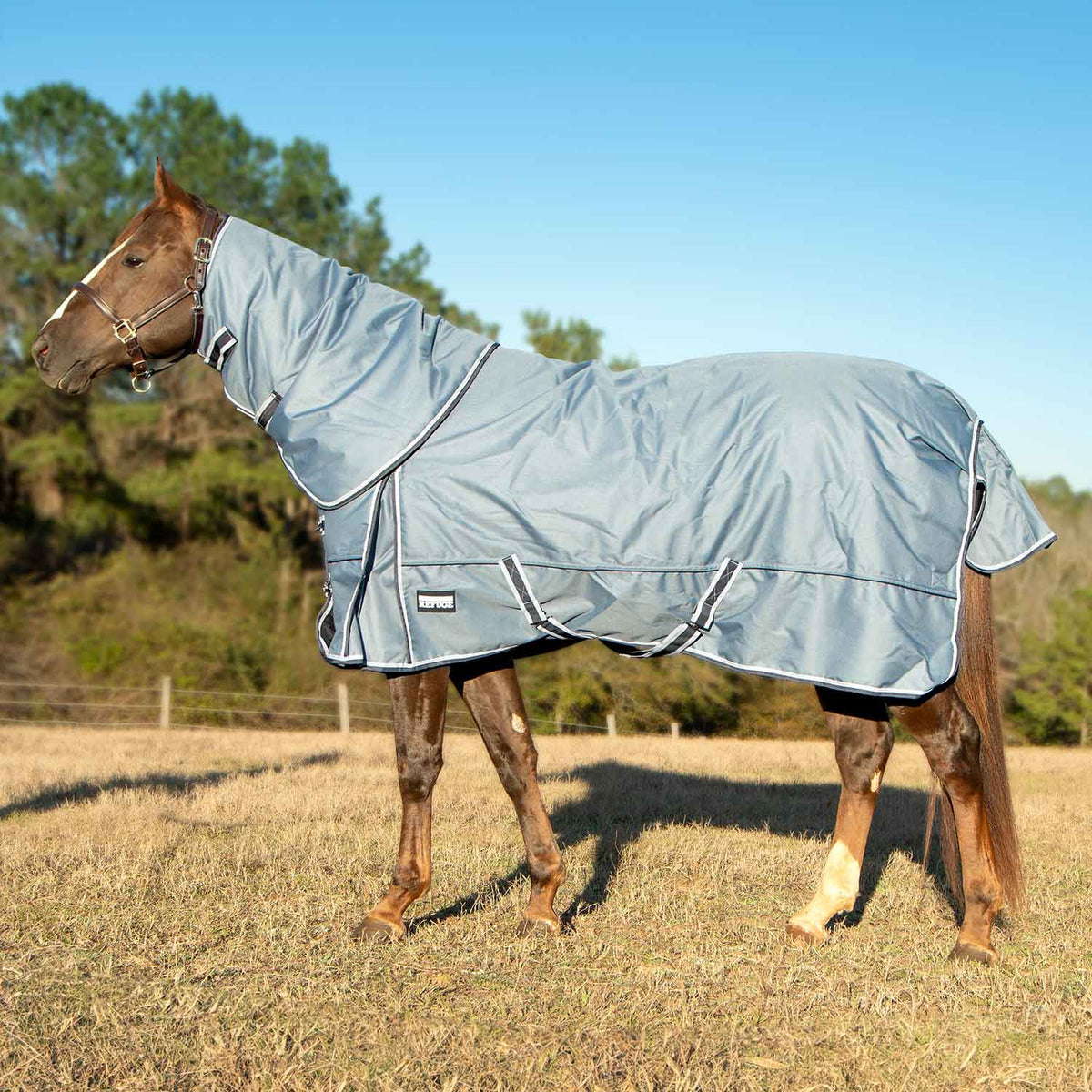 Jeffers Poplar Head – "Refuge" 1200 Denier Turnout Blanket with Detachable Neck, 240 Gram, Hamilton Blue