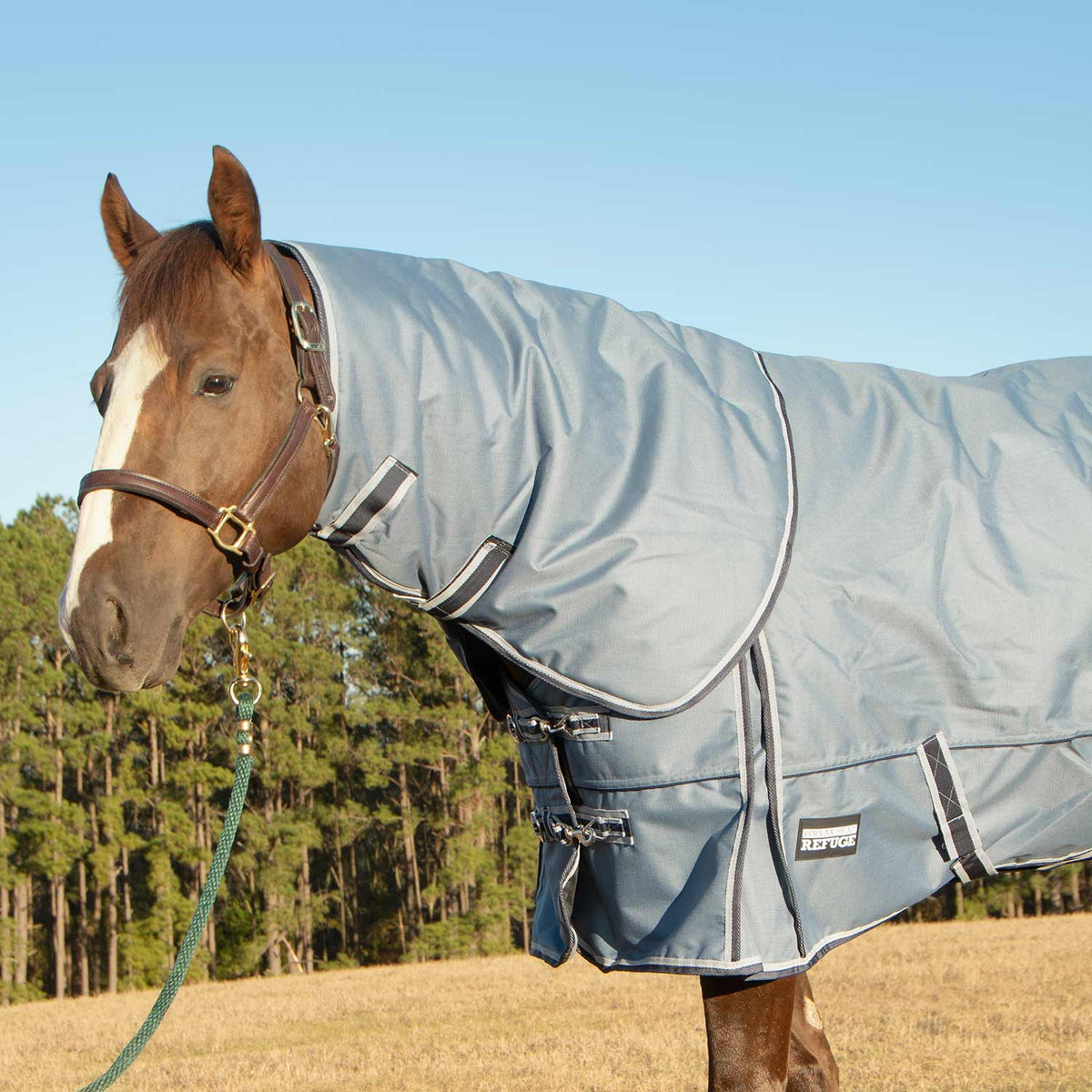 Jeffers Poplar Head – "Refuge" 1200 Denier Turnout Blanket with Detachable Neck, 360 Gram, Hamilton Blue