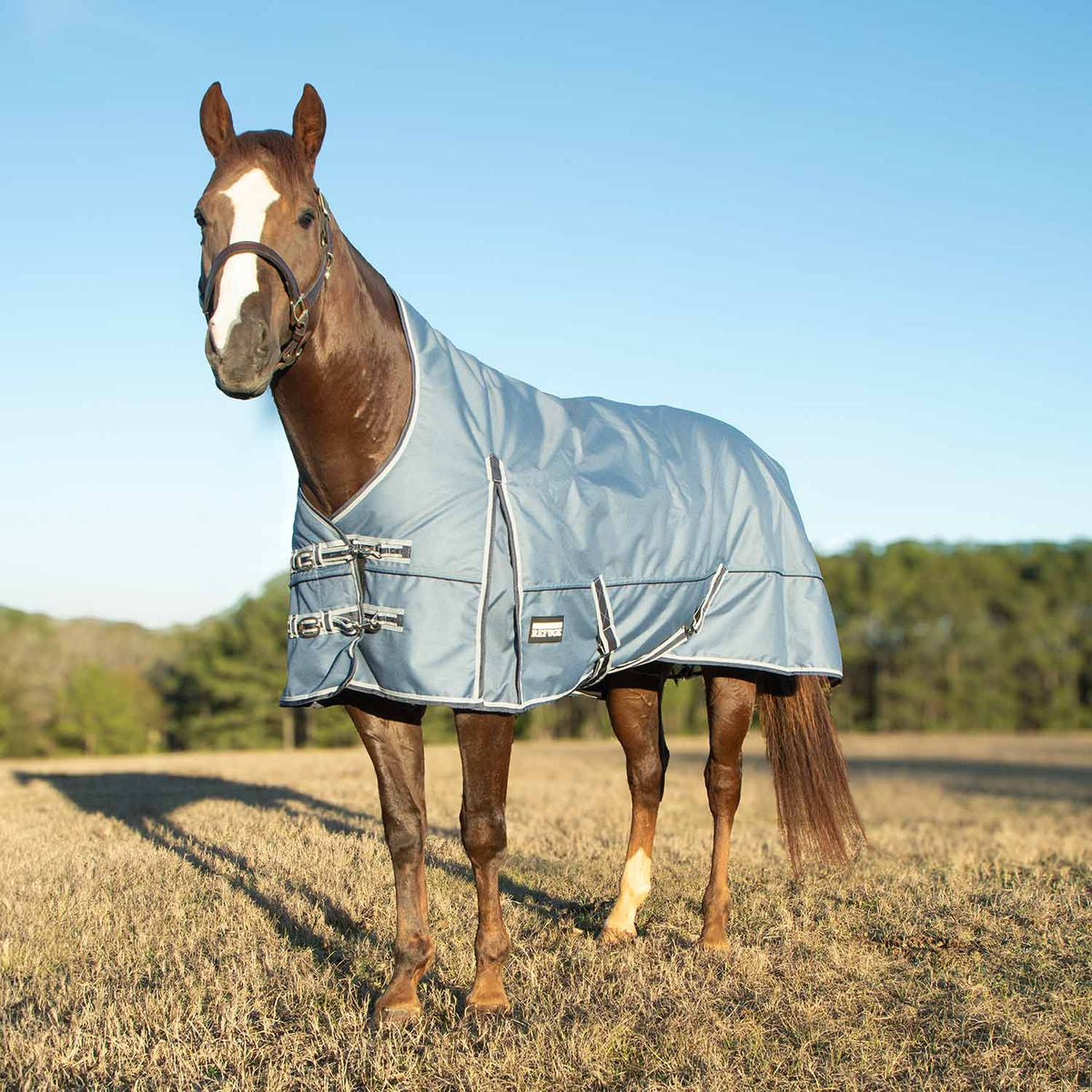 Jeffers Poplar Head – "Refuge" 1200 Denier Turnout Blanket with High Neck, 240 Gram, Hamilton Blue