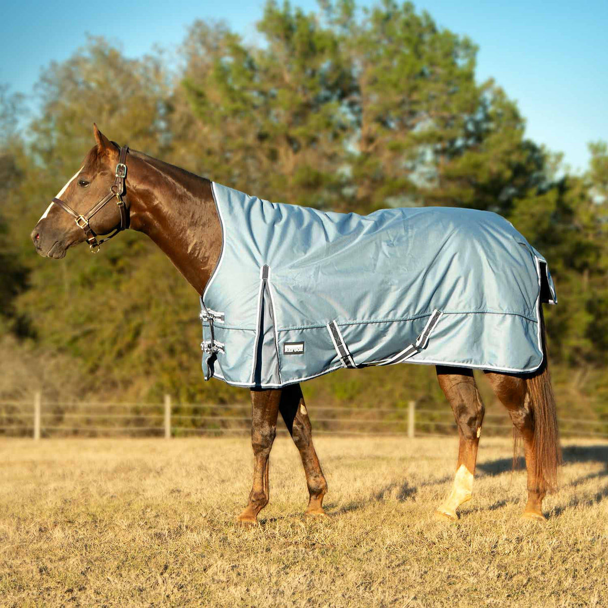 Jeffers Poplar Head – "Refuge" 1200 Denier Turnout Blanket with High Neck, 240 Gram, Hamilton Blue