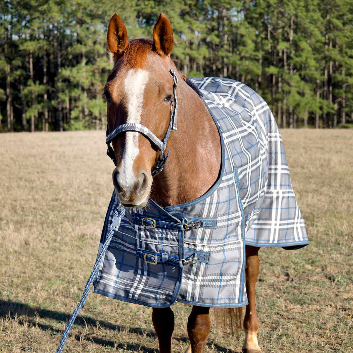 Jeffers Poplar Head – "Refuge" 1200D Waterproof Turnout Sheet, 0g Lightweight Horse Blanket