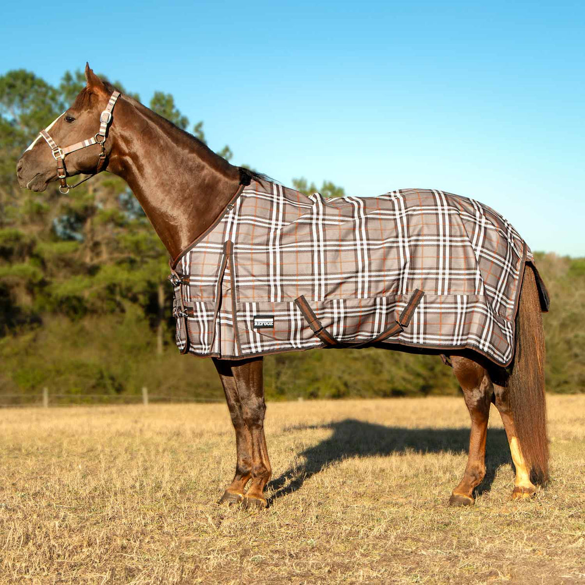 Jeffers Poplar Head – "Refuge" 1200D Waterproof Turnout Sheet, 0g Lightweight Horse Blanket
