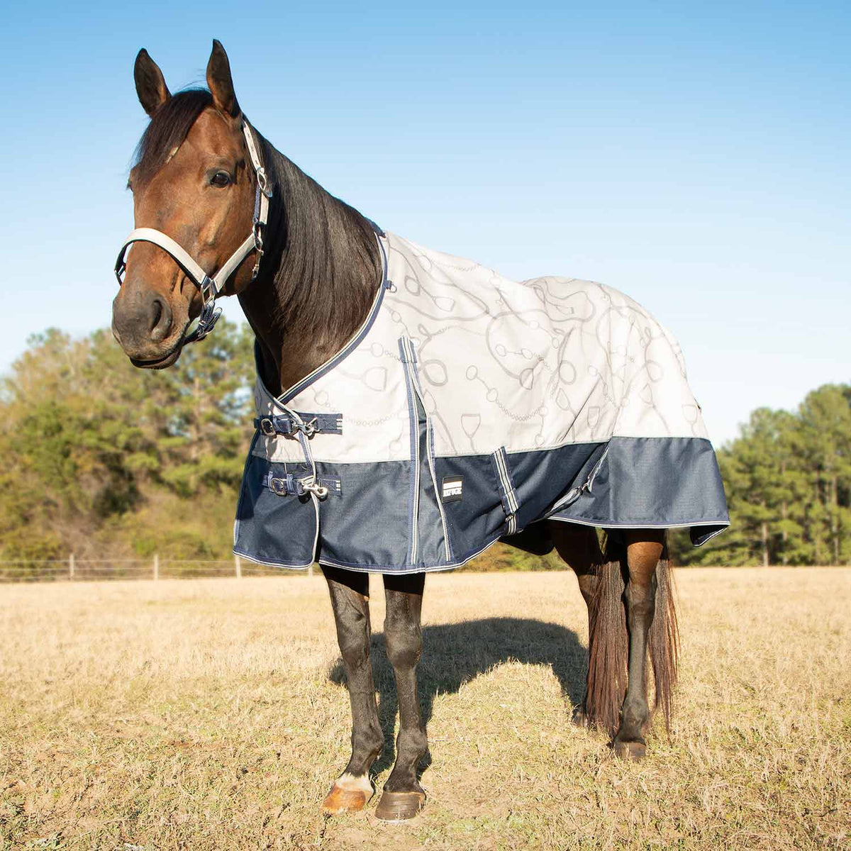 Jeffers Poplar Head – Uniquely English 1200D Medium Weight Turnout Blanket, 240g - Waterproof & Breathable Horse Blanket