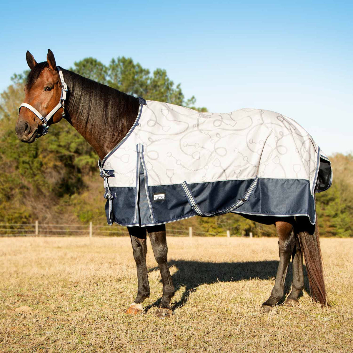 Jeffers Poplar Head – Uniquely English 1200D Medium Weight Turnout Blanket, 240g - Waterproof & Breathable Horse Blanket