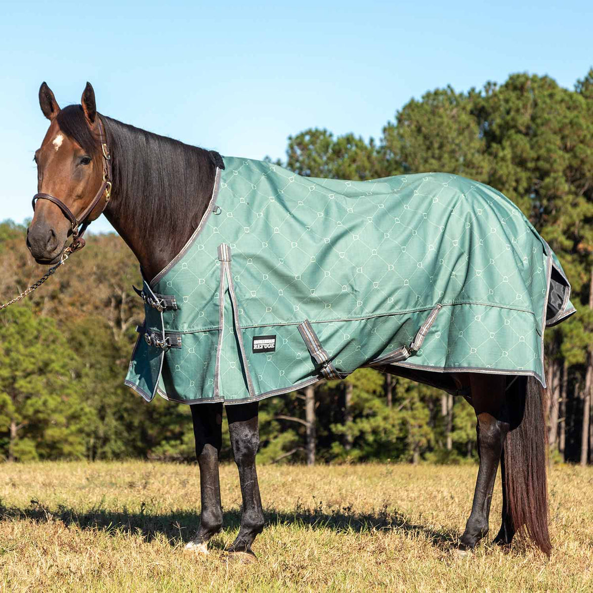 Jeffers Poplar Head – Uniquely English 1200D Medium Weight Turnout Blanket, 240g - Waterproof & Breathable Horse Blanket