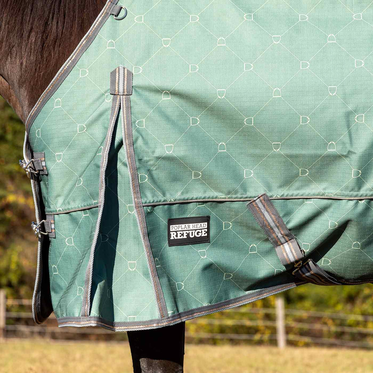 Jeffers Poplar Head – Uniquely English 1200D Medium Weight Turnout Blanket, 240g - Waterproof & Breathable Horse Blanket