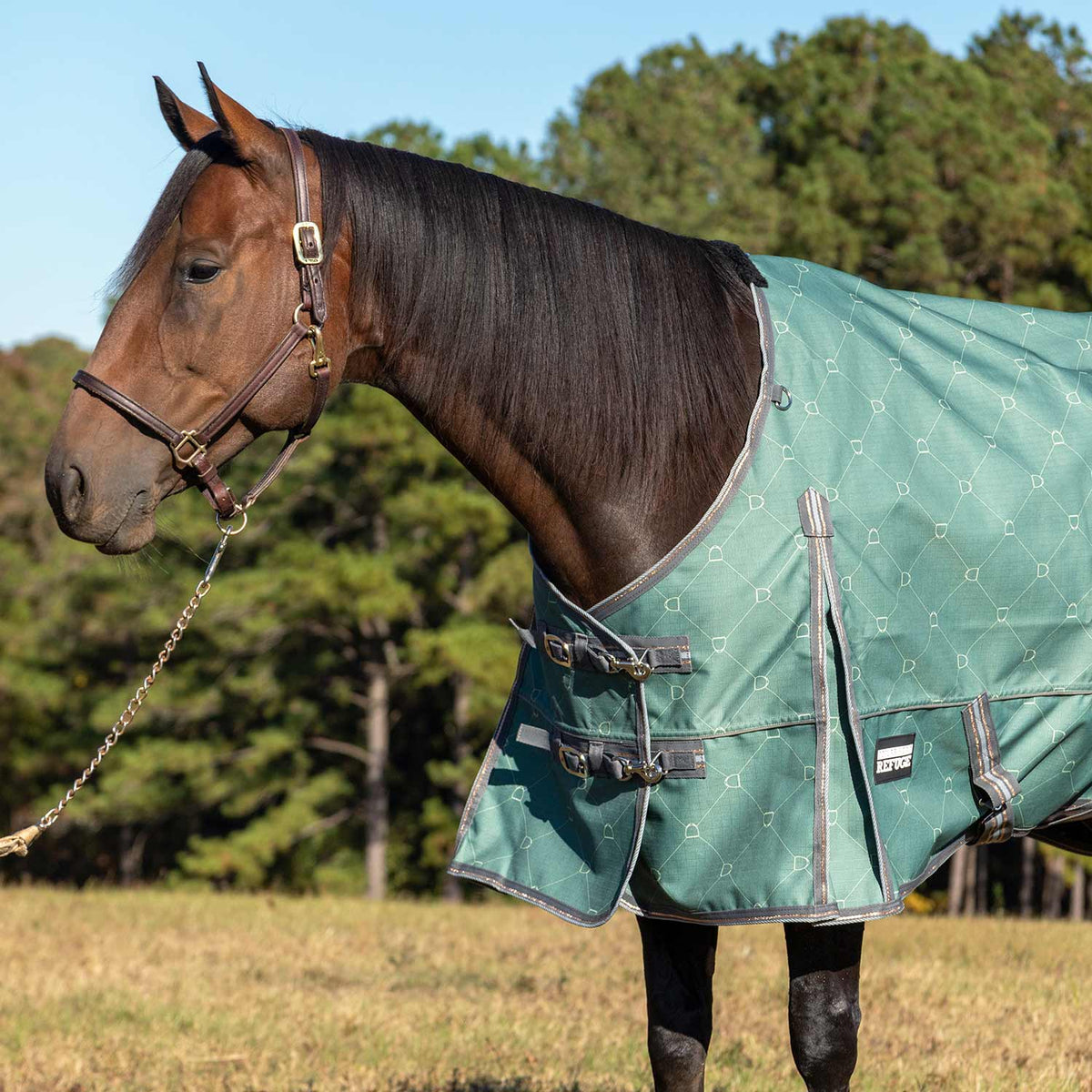 Jeffers Poplar Head – Uniquely English 1200D Medium Weight Turnout Blanket, 240g - Waterproof & Breathable Horse Blanket