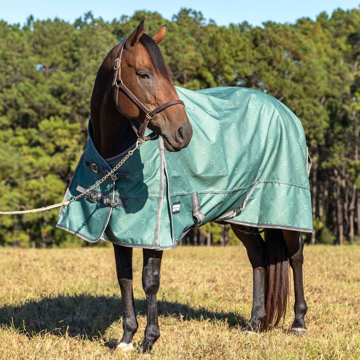 Jeffers Poplar Head – Uniquely English 1200D Turnout Sheet, 0g - Waterproof & Breathable Lightweight Horse Blanket