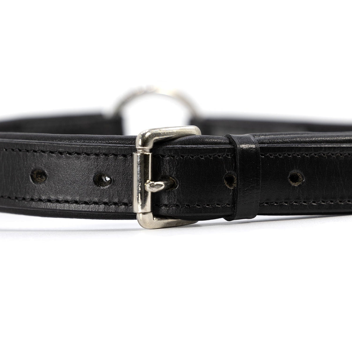 Jeffers Premium Padded Black Leather Dog Collars | HT Animal Supply