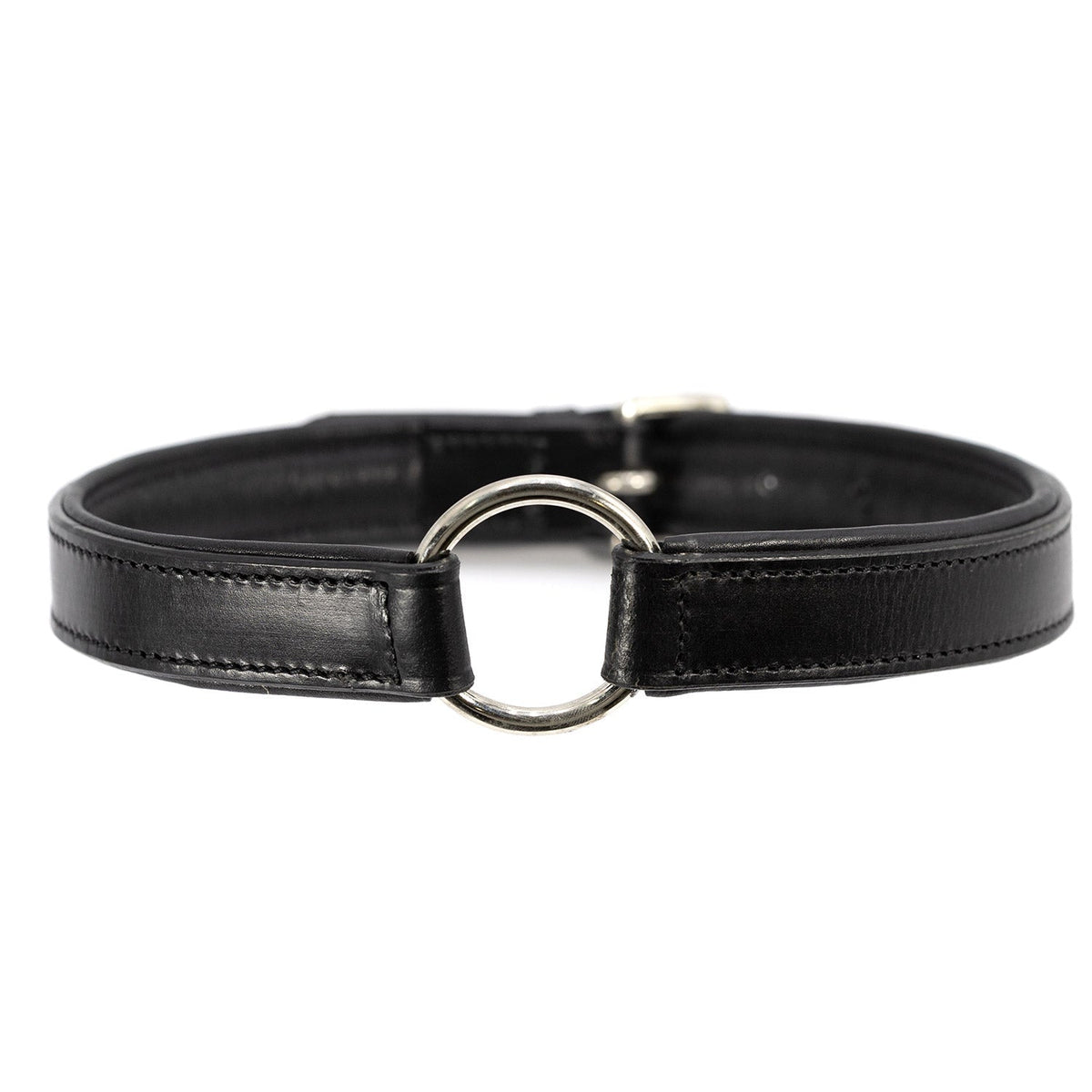 Jeffers Premium Padded Black Leather Dog Collars | HT Animal Supply