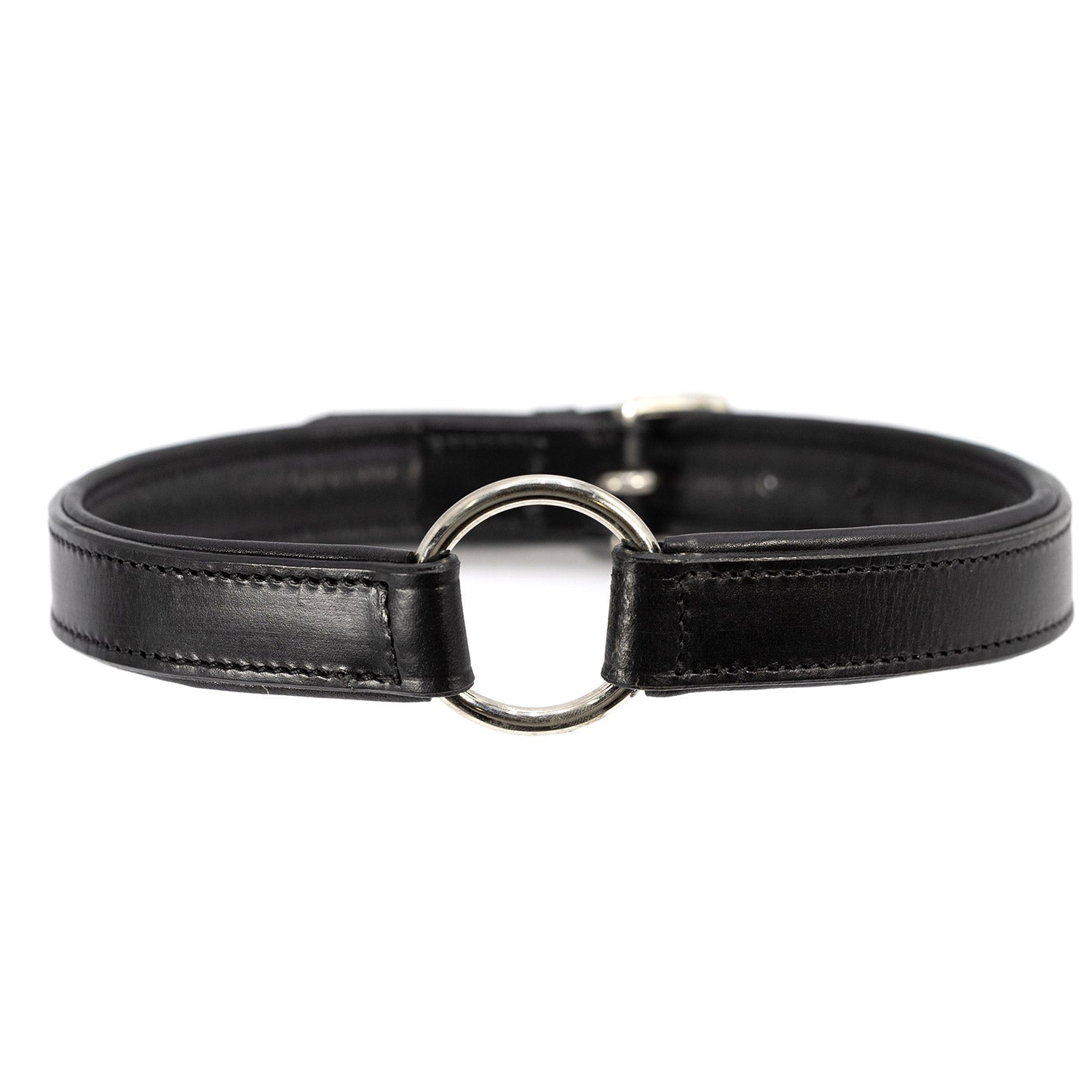 Jeffers Premium Padded Black Leather Dog Collars | HT Animal Supply