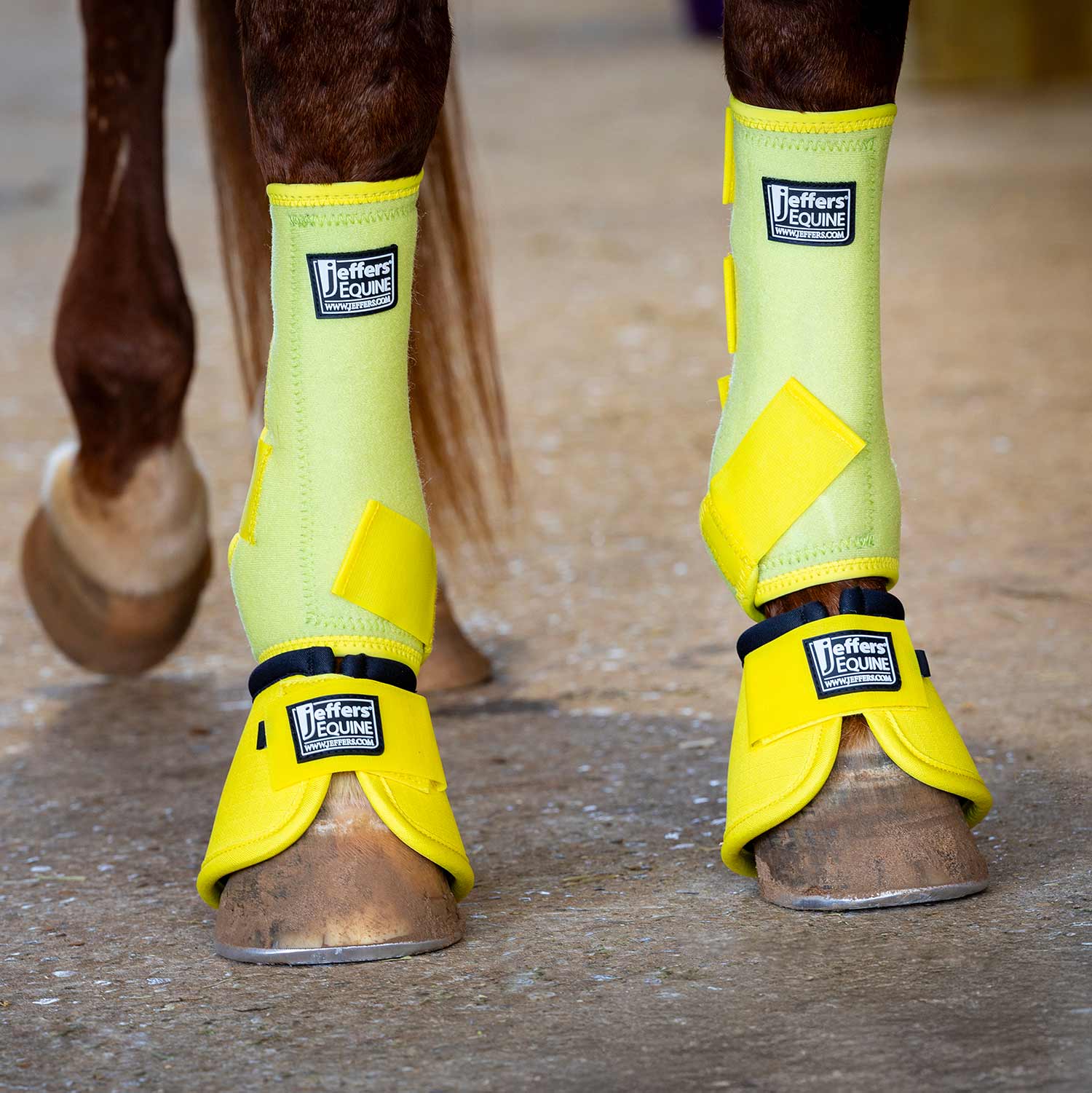 Jeffers Protective Horse Boots, Solid Colors