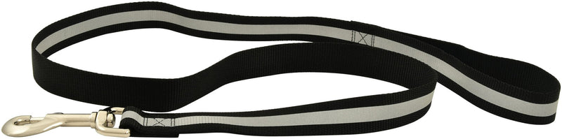 Jeffers Reflective Glow-in-the-Dark Safety Stripe Nylon Dog Leash, 1" W x 4 L