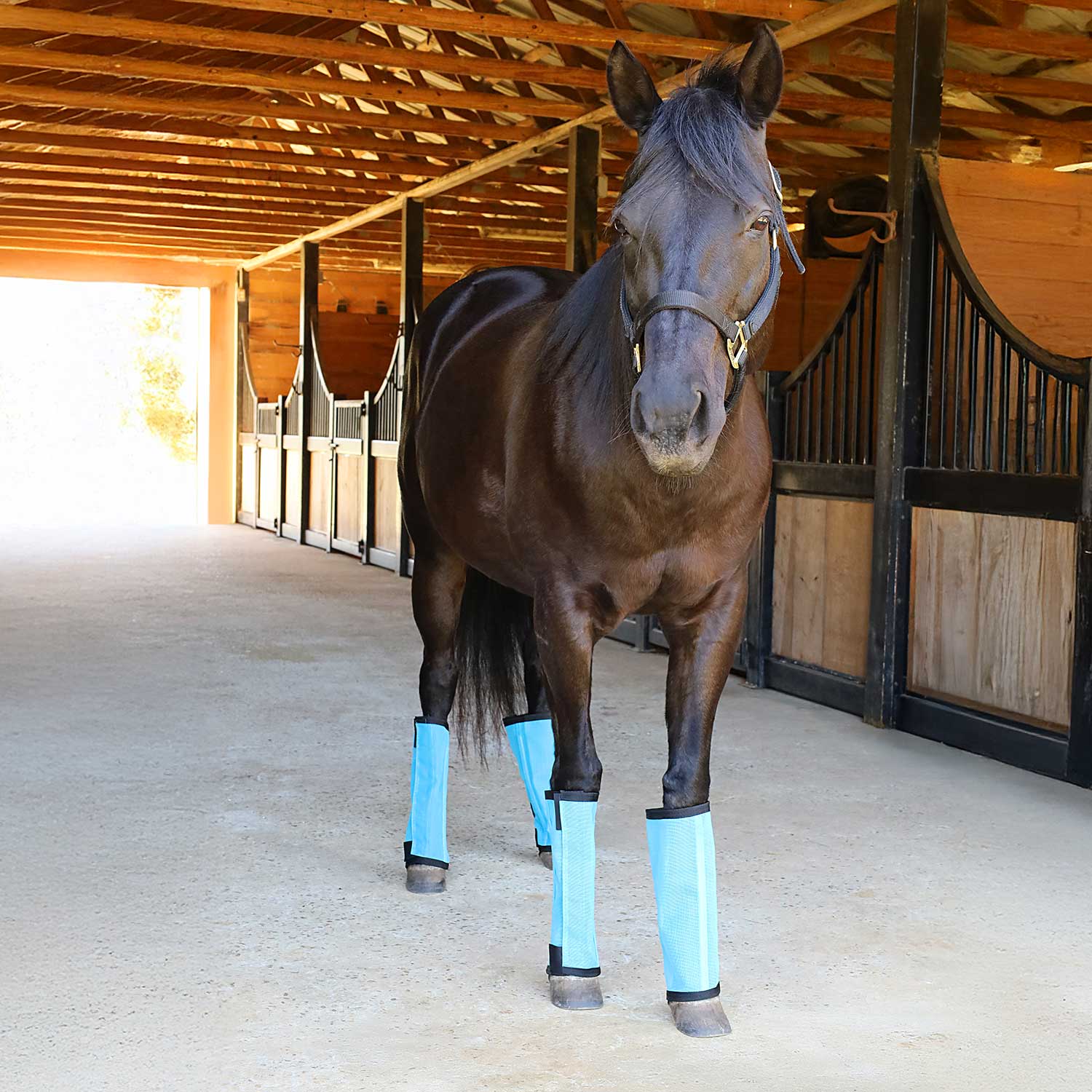 Pre-Sale Jeffers Romper Stomper "Stomp-Free" Fly Boots for Horses, 4 pack