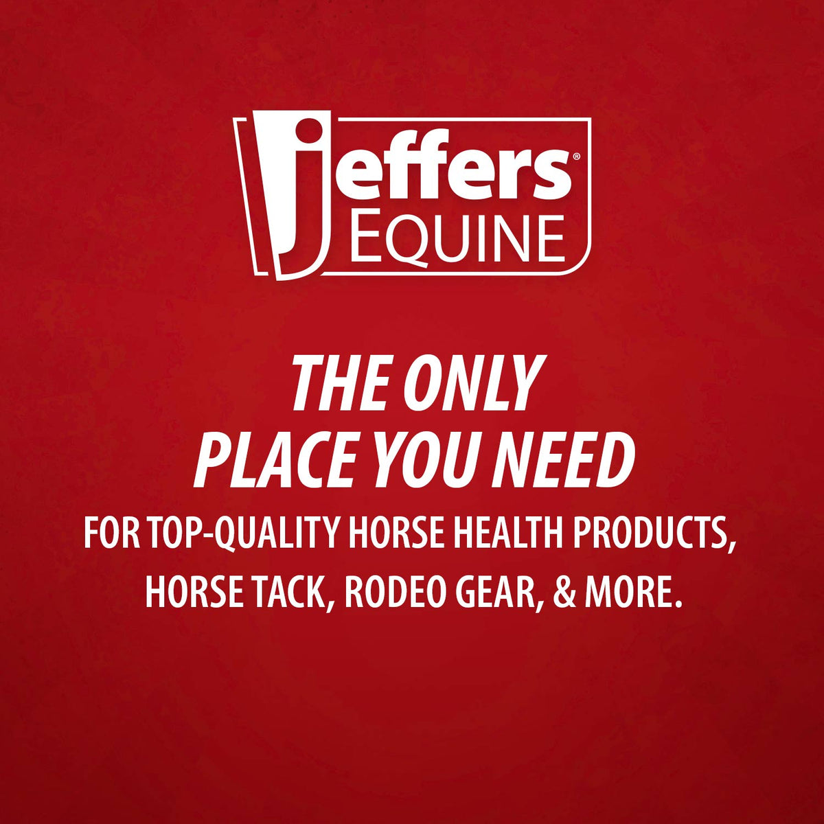 Jeffers Equine Tail & Mane Detangler and Conditioner for Horses