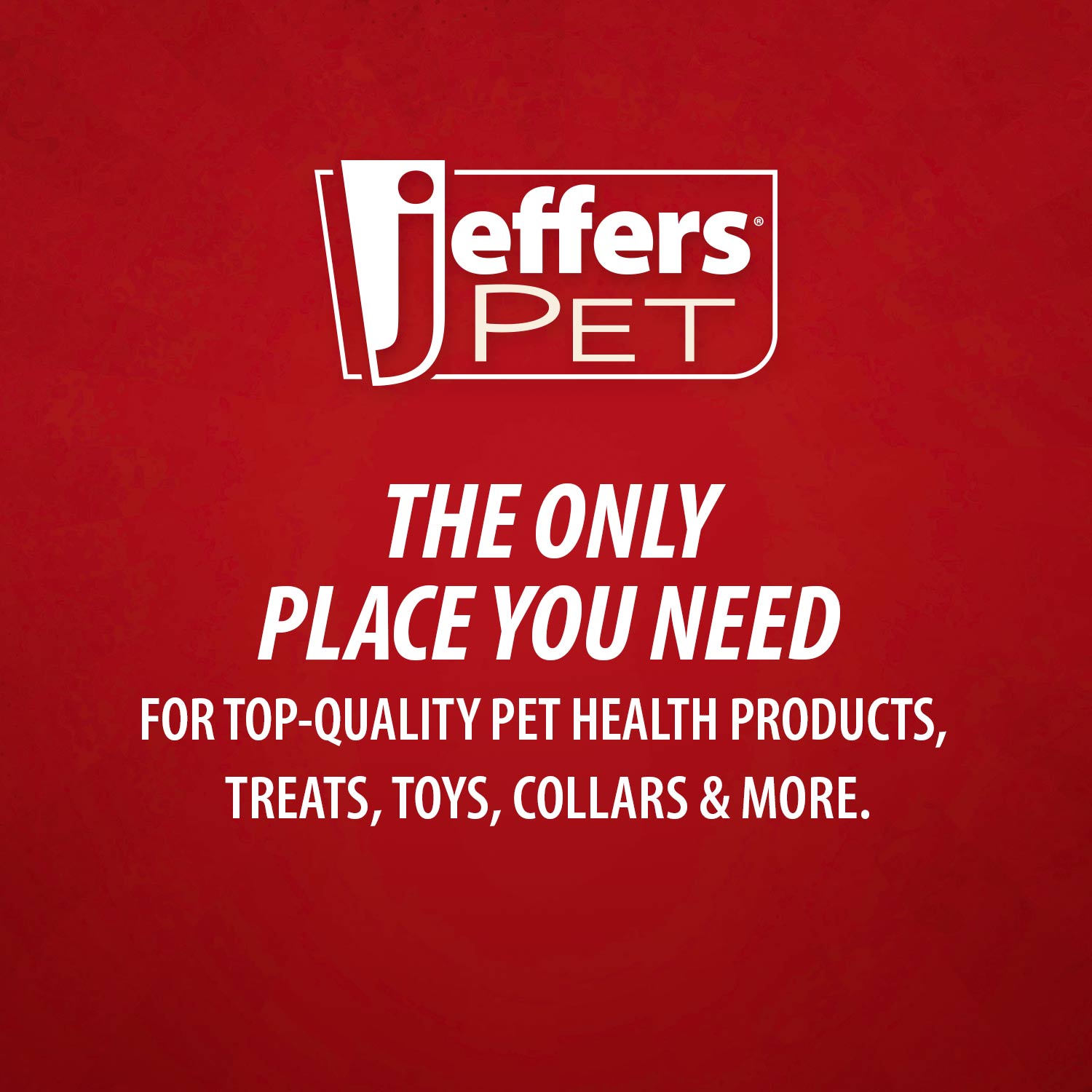 Jeffers Pin Brush for Pet Grooming, Medium