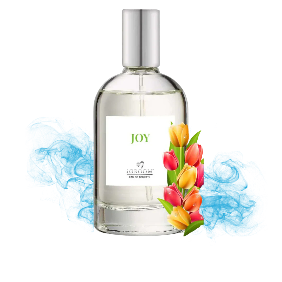 Joy Perfume 100ml by iGroom