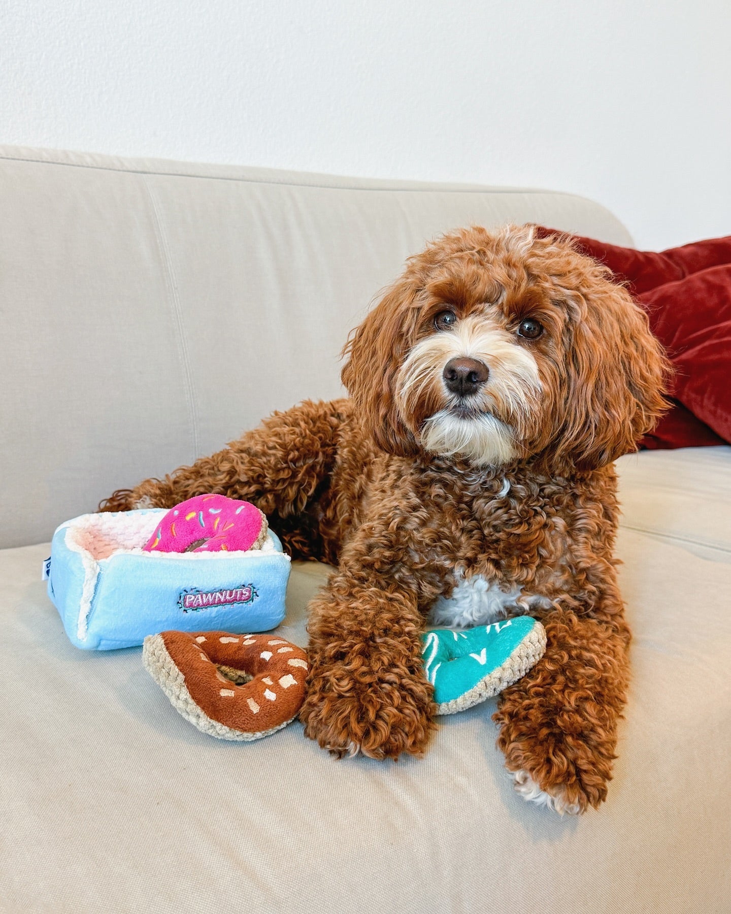 DONUTS INTERACTIVE DOG TOY