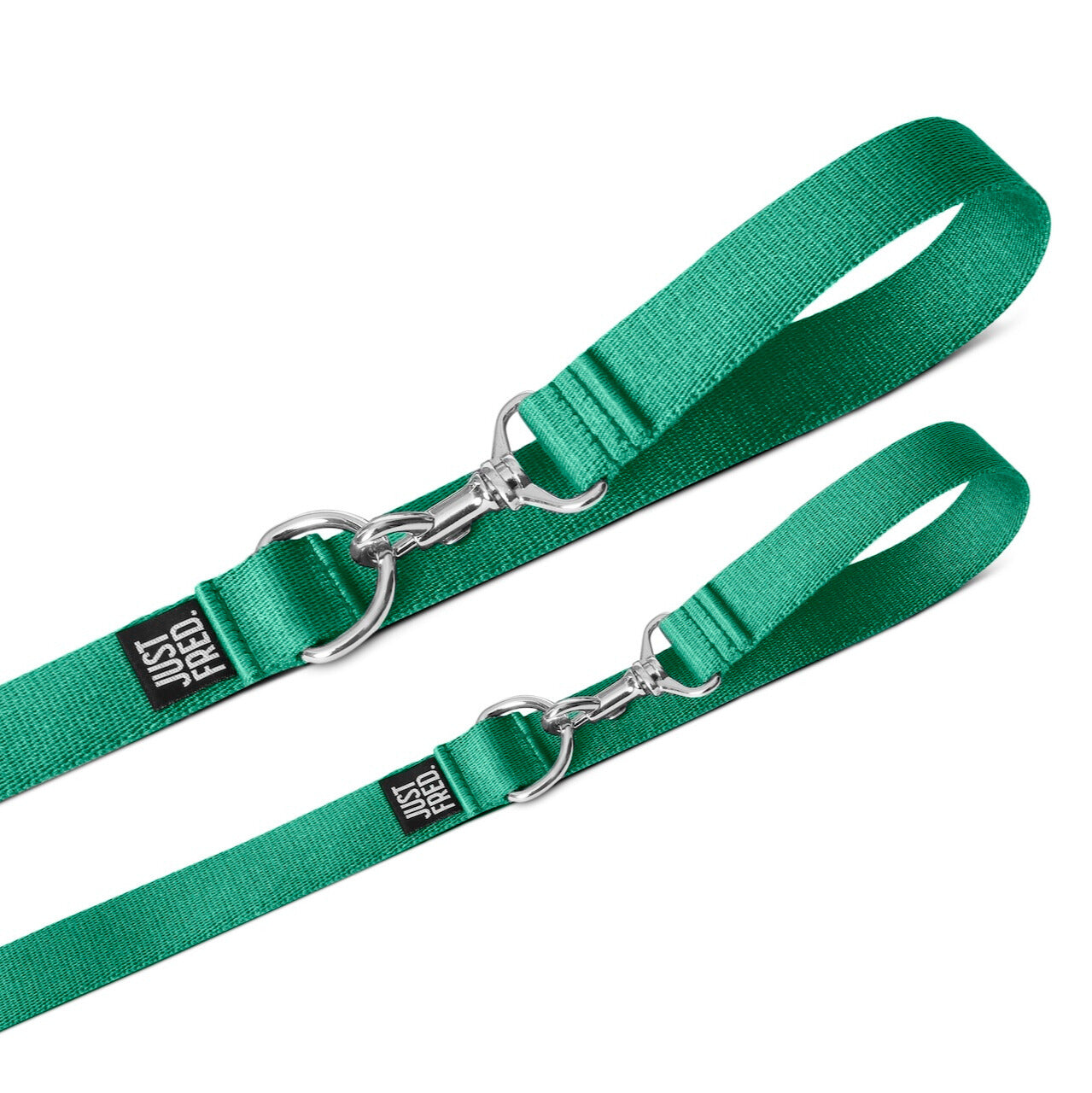 Dog Collar Kit