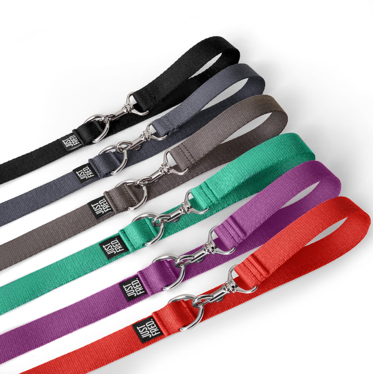 Dog Leash