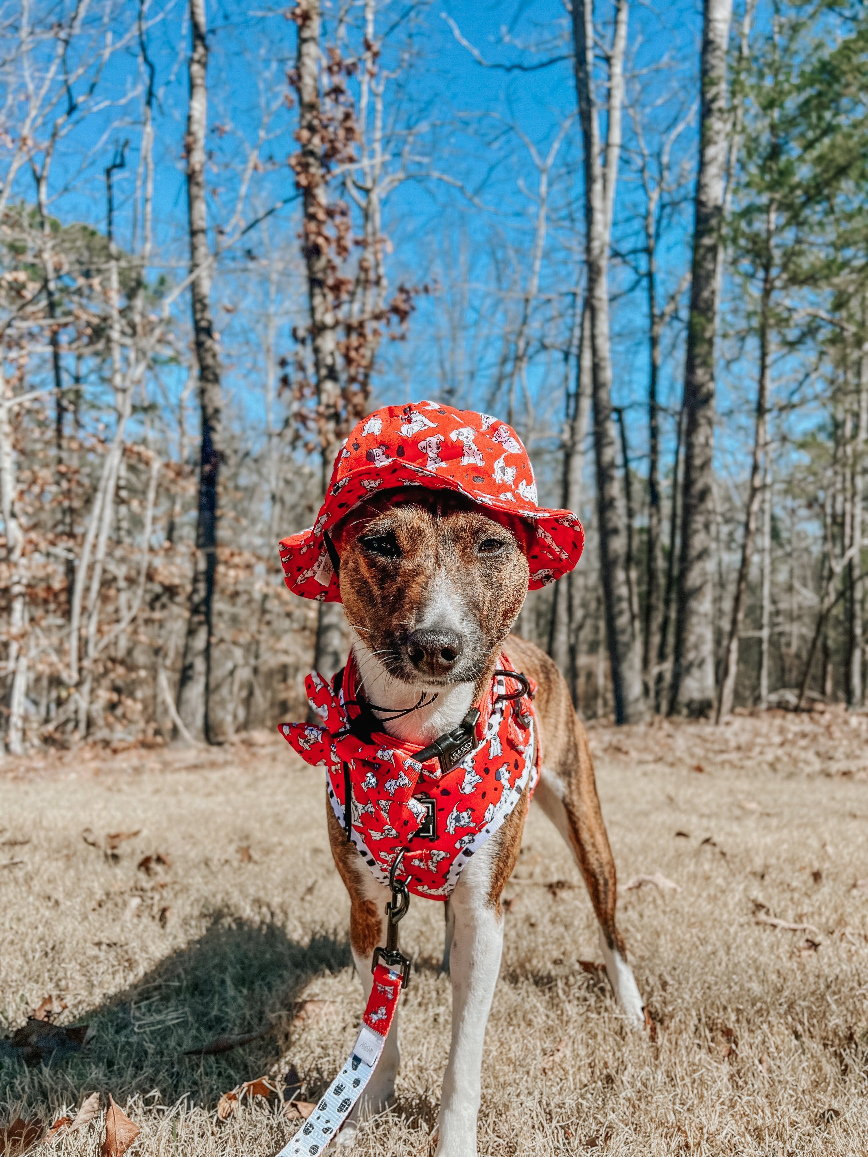 Dog Bucket Hat - Disneys 101 Dalmatians
