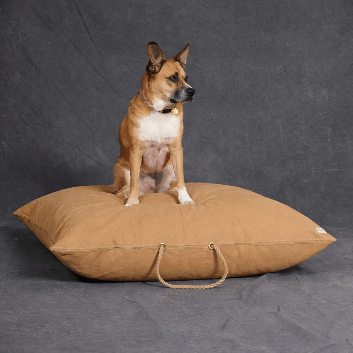 Khaki Waxed Cotton Canvas Dog Bed