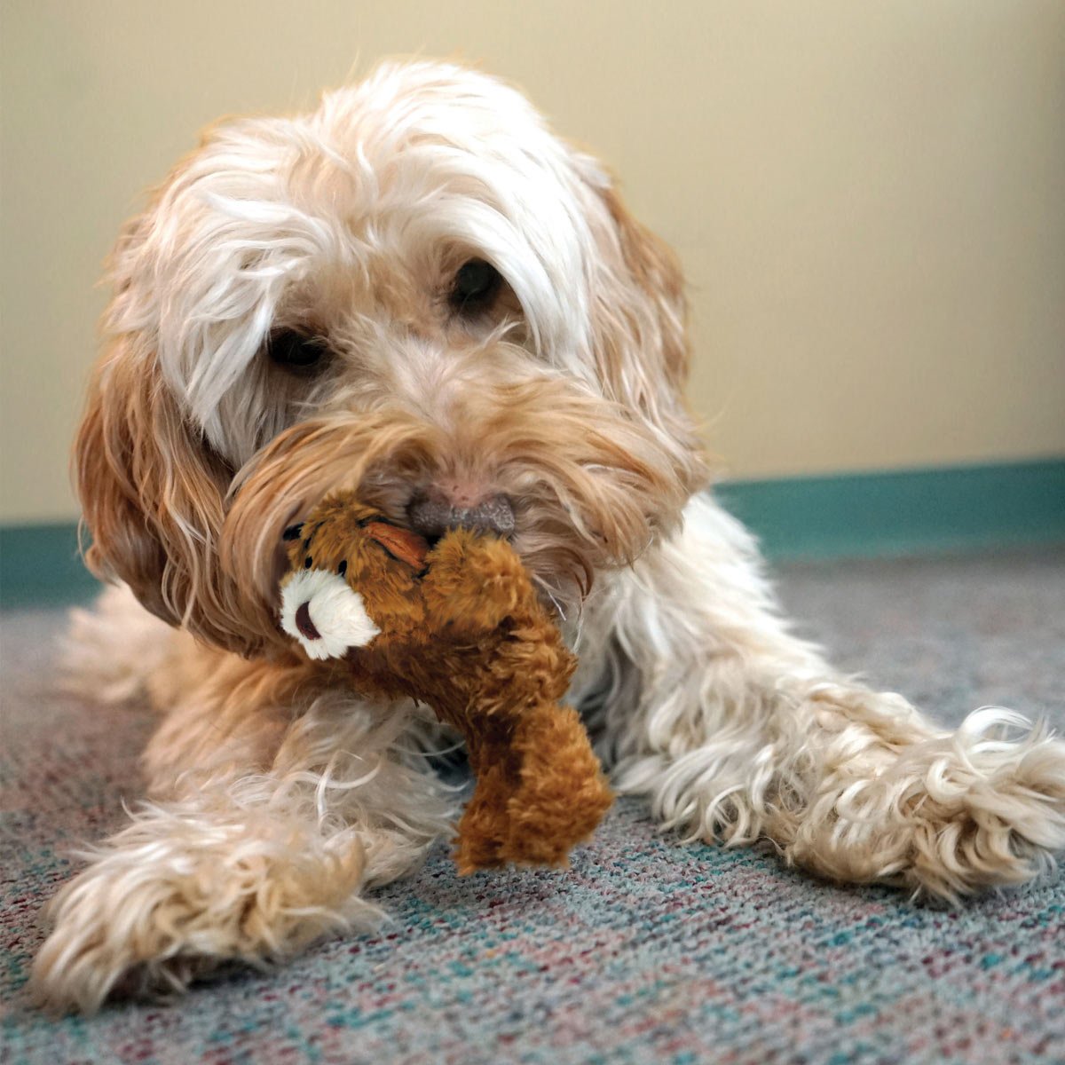 KONG Dr. Noyz X-Small Plush Dog Toys - Stuffing-Free, Soft Cuddle Toy with Removable and Extra Squeaker for Small Dogs