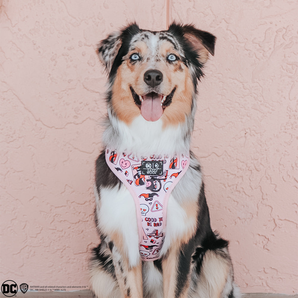 Dog Adjustable Harness - Harley Quinn™