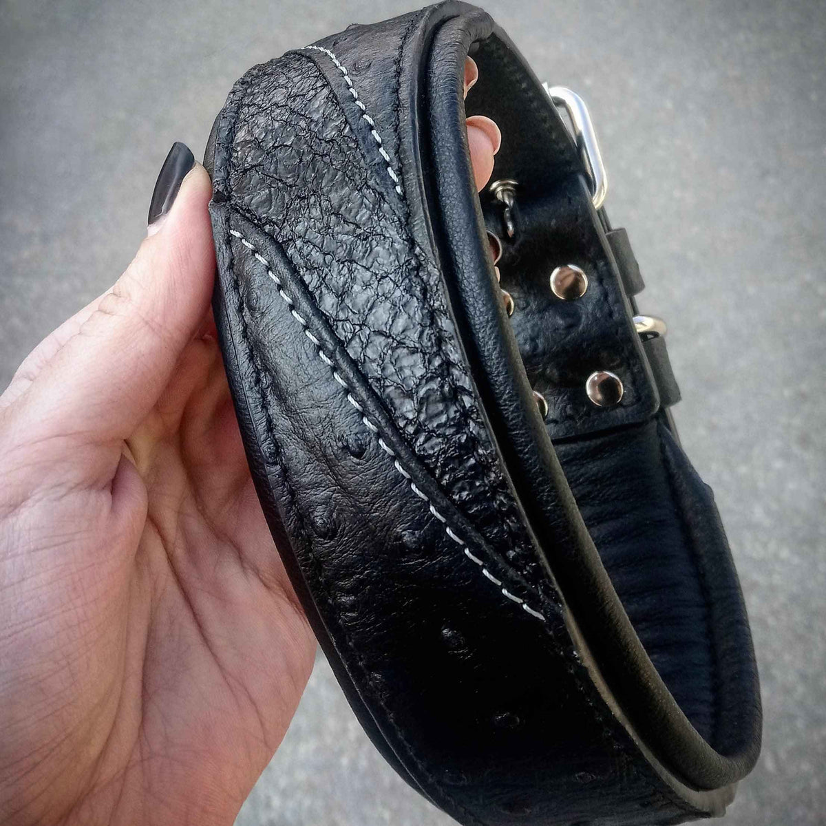 Bestia Korona Black Edition Leather Dog Collar