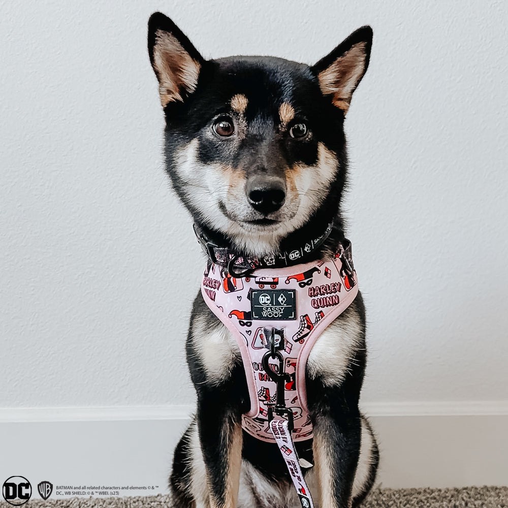 Dog Adjustable Harness - Harley Quinn™