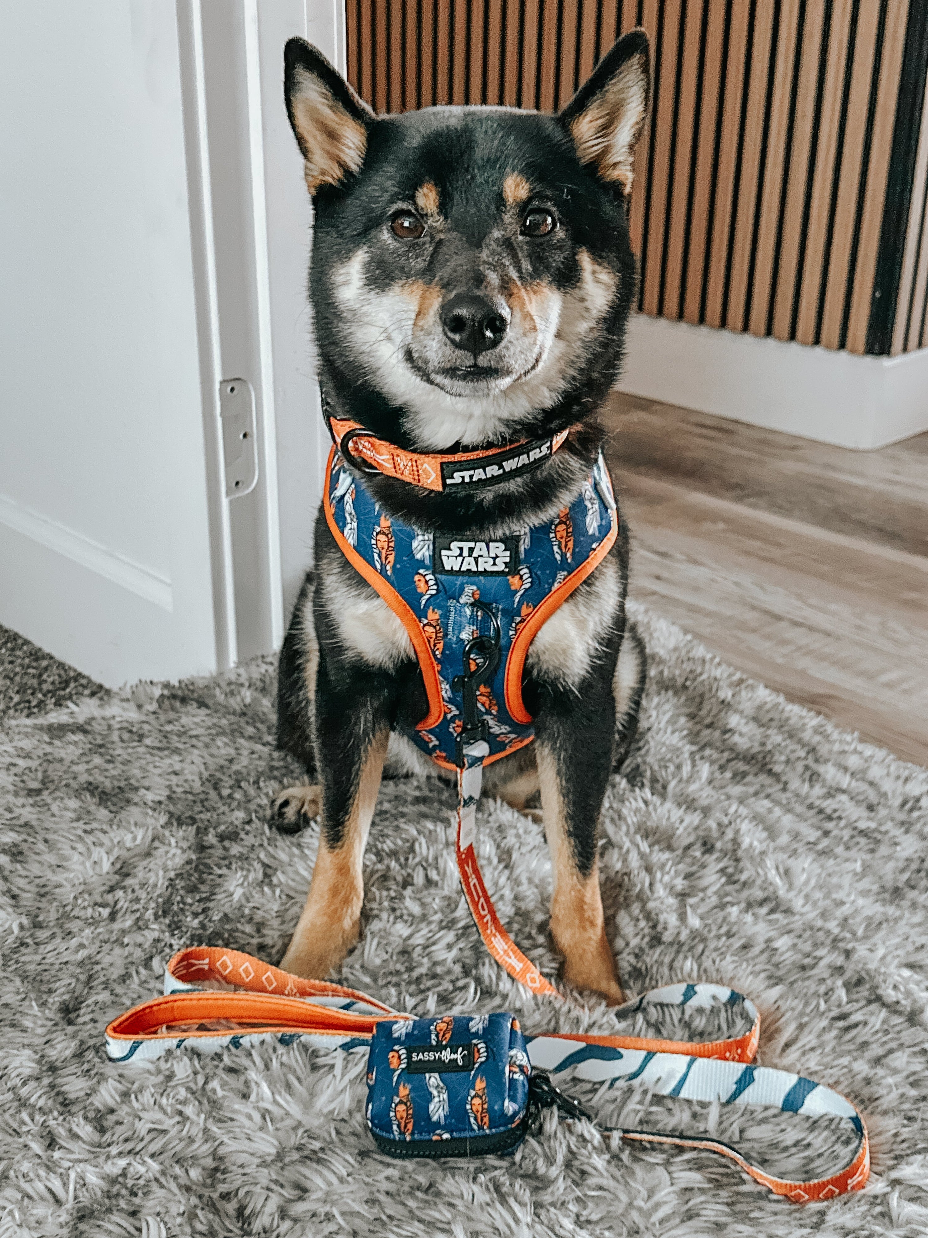 Dog Adjustable Harness - STAR WARS™ Ahsoka