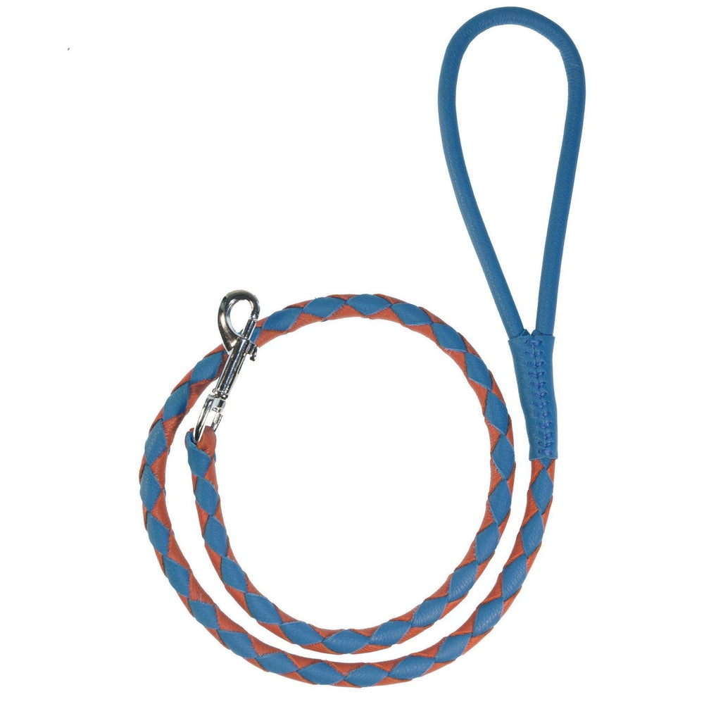 Dogline Soft Leather Dual-Color Braided Round Dog Lead