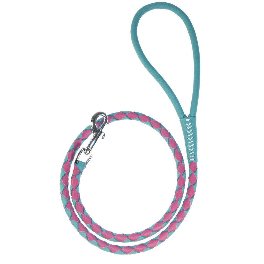 Dogline Soft Leather Dual-Color Braided Round Dog Lead