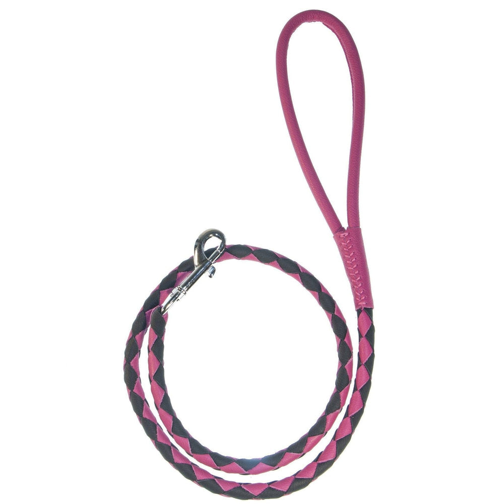Dogline Soft Leather Dual-Color Braided Round Dog Lead