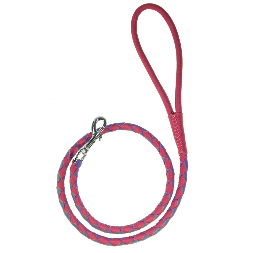 Dogline Soft Leather Dual-Color Braided Round Dog Lead