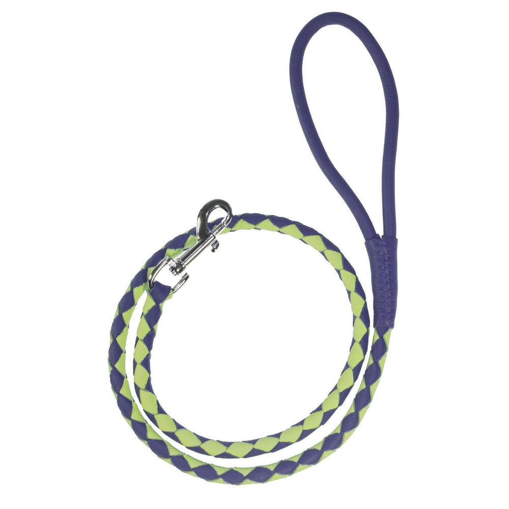 Dogline Soft Leather Dual-Color Braided Round Dog Lead