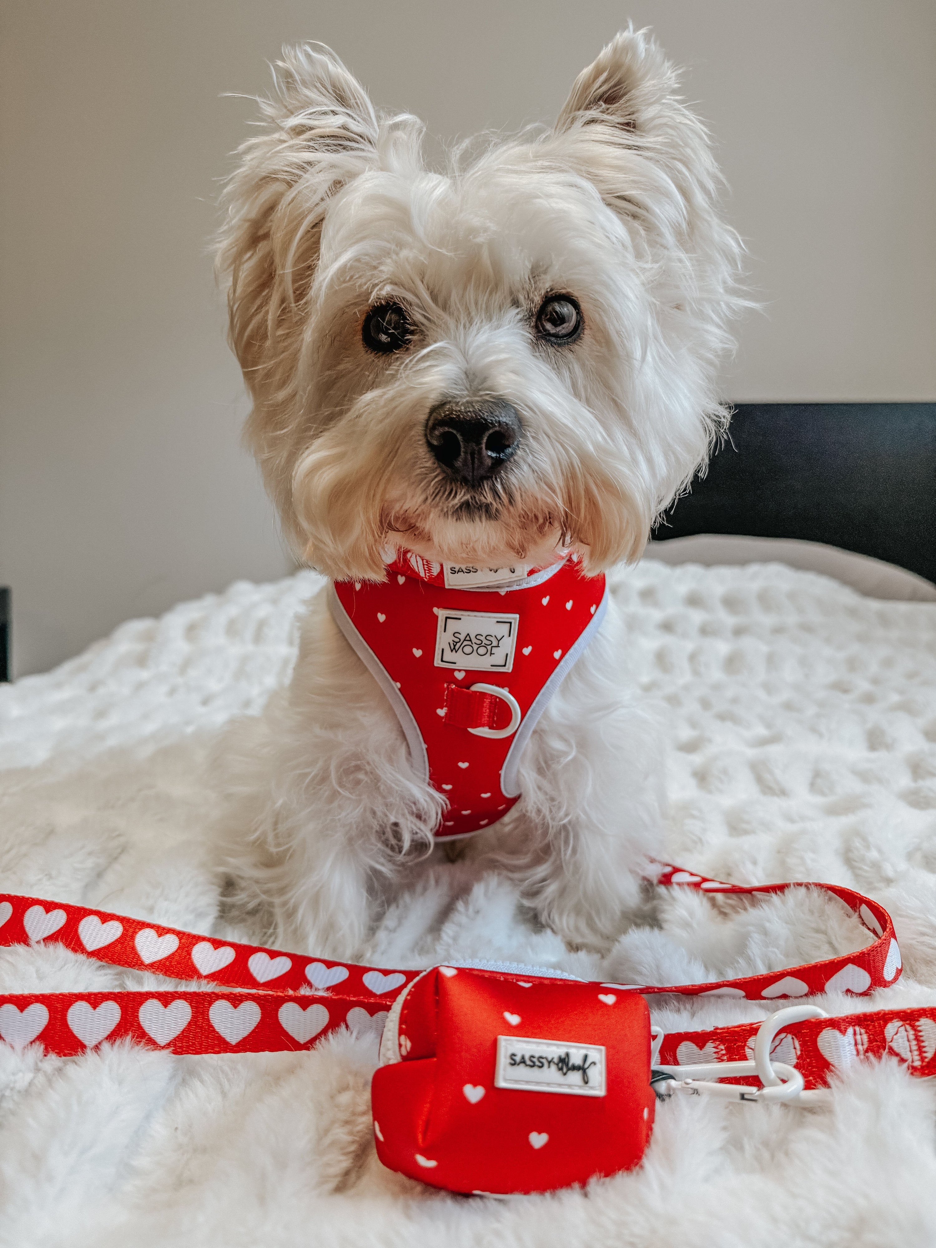 Dog Adjustable Harness - Little Love