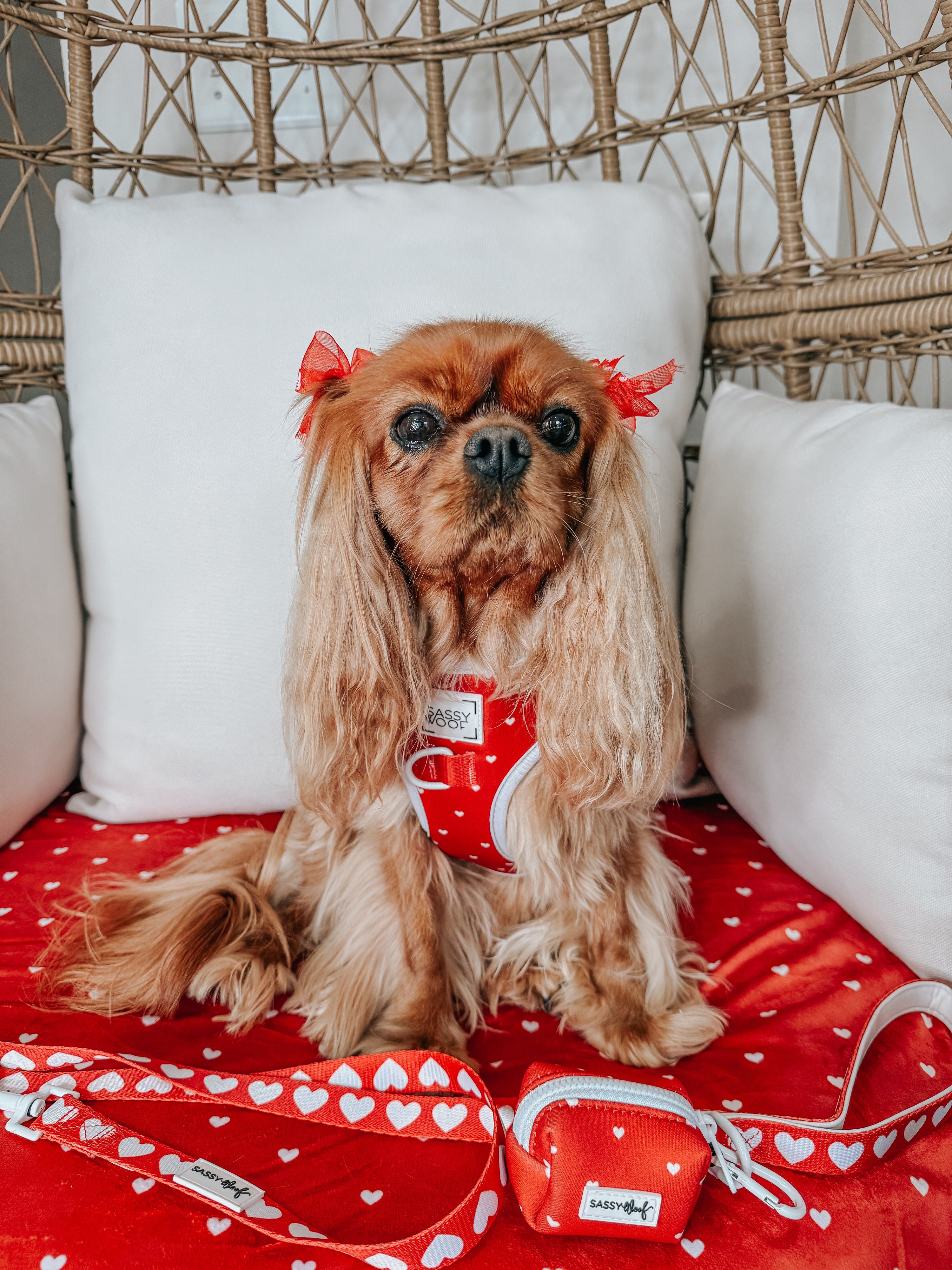 Dog Adjustable Harness - Little Love