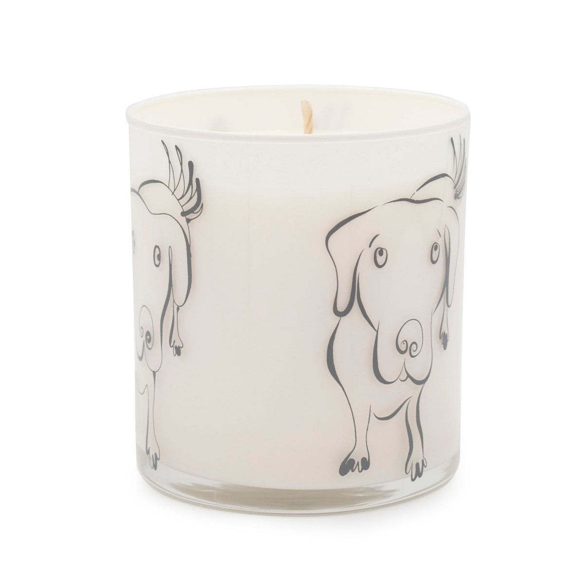 Large Dog Jar Candle - Wet Dog Scent