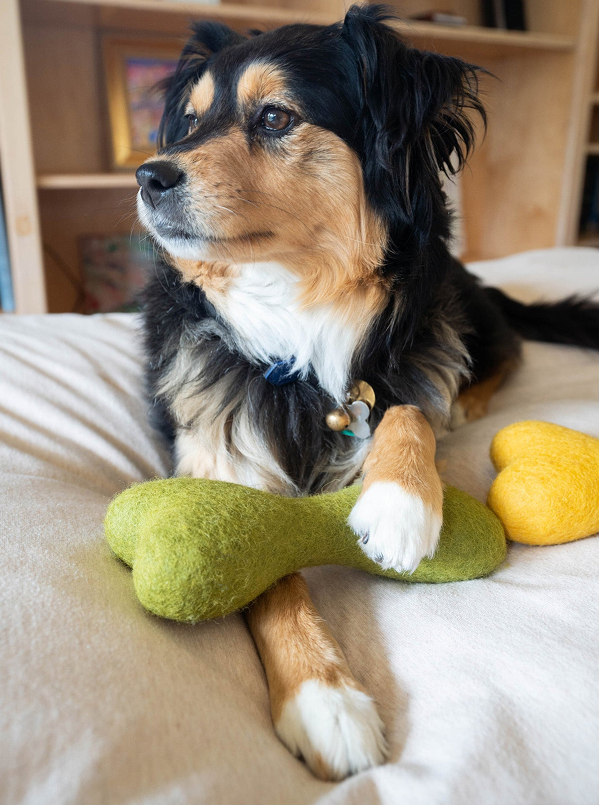 MB WOOLBONE | HT Animal Supply