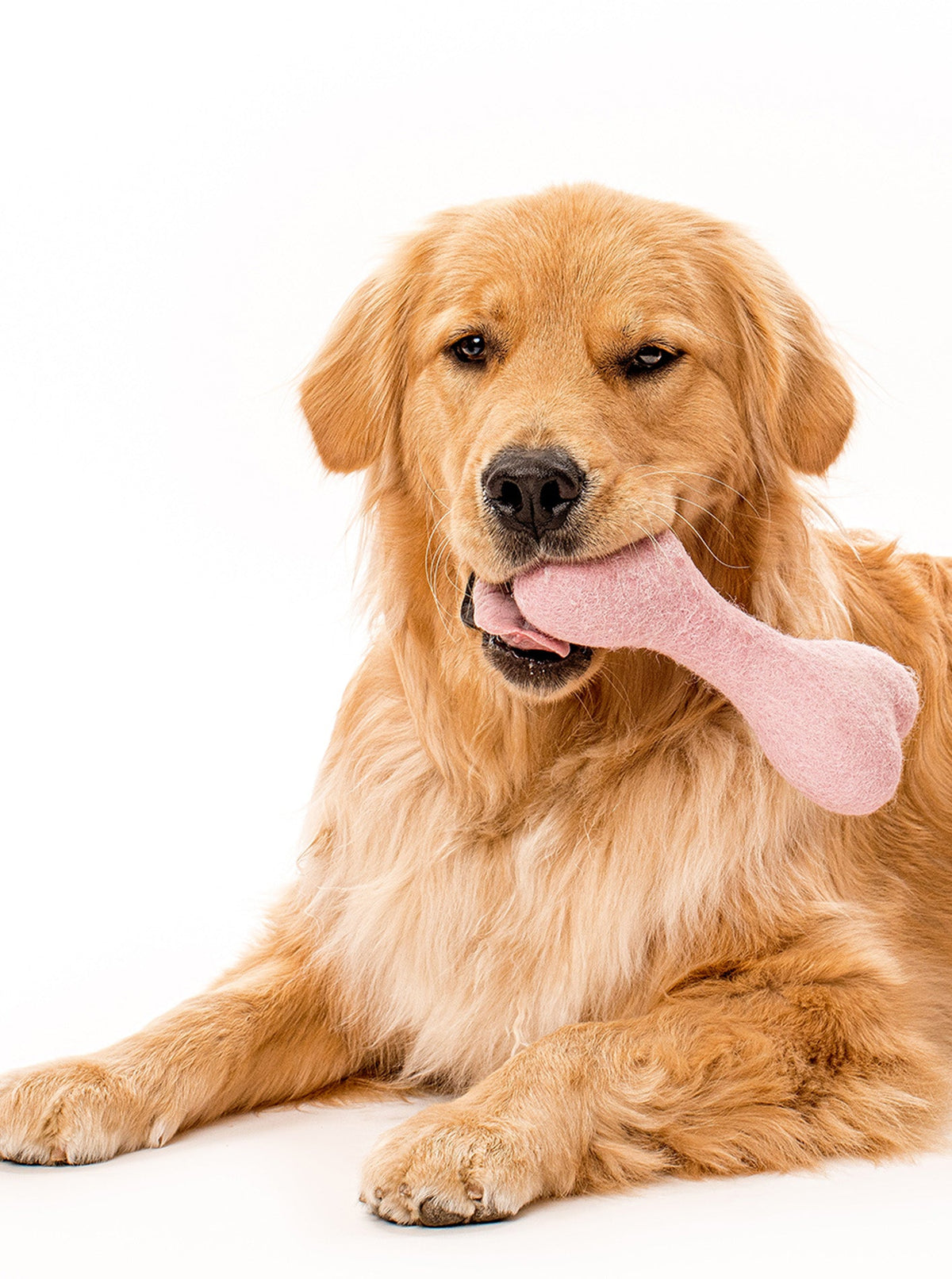 MB WOOLBONE | HT Animal Supply
