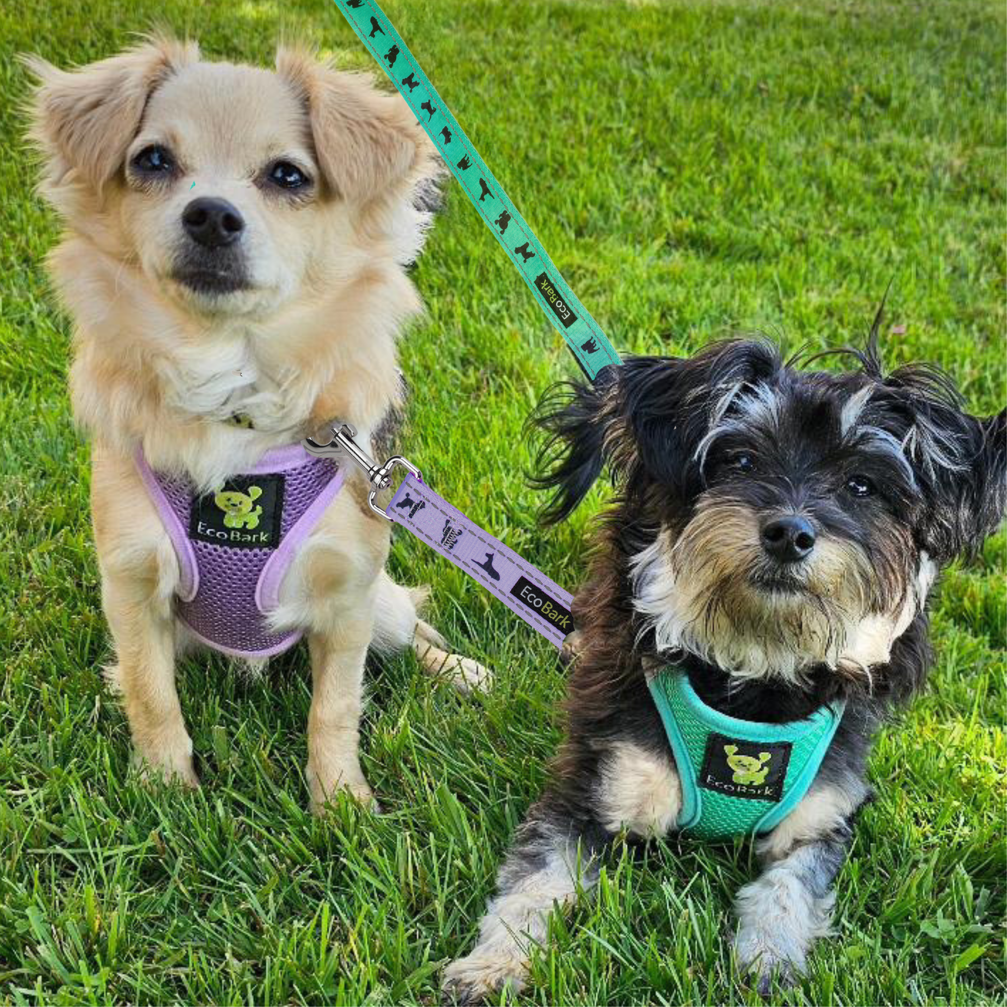 EcoBark Step In Dog Harness - Teacup & Small Breeds- Reflective Soft Mesh Harness for Teacup, Small Dogs and Puppies / Lavender