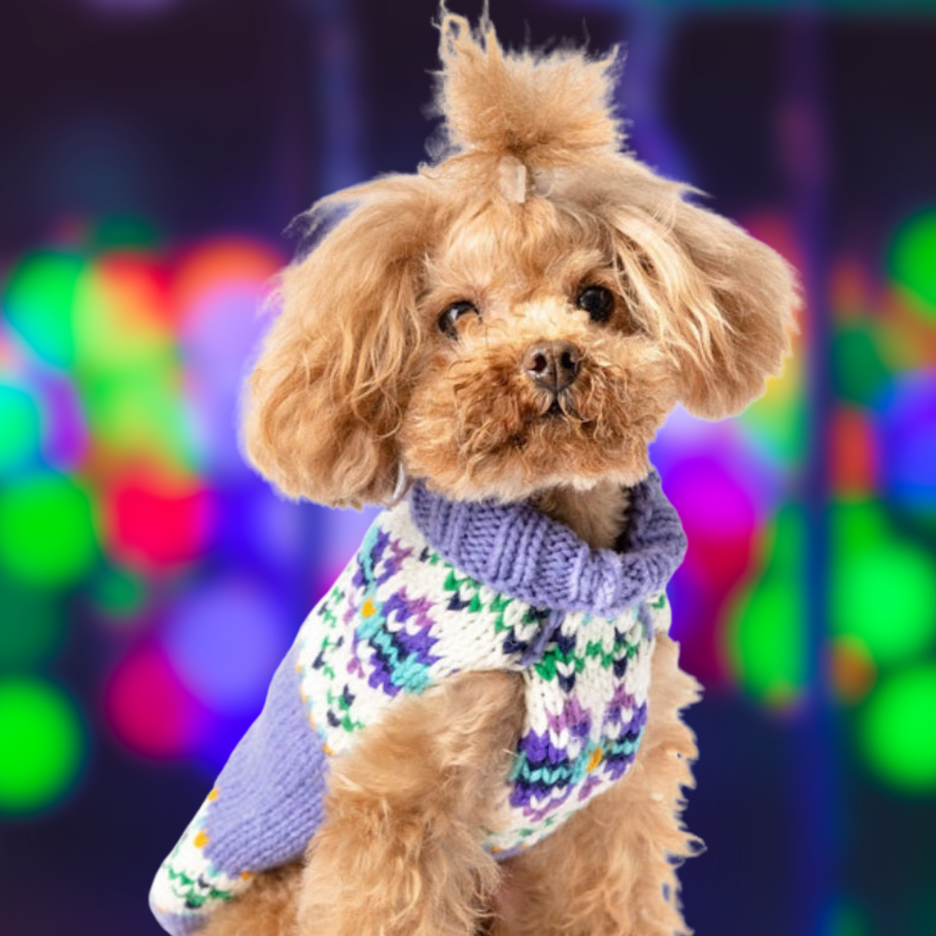 Chilly Dog Lavender Flowers Wool Dog Sweater