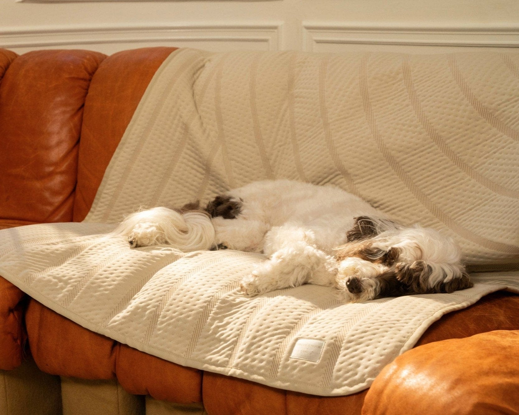 Brigette Romanek | Luxury Pet Throw Blanket - Cream