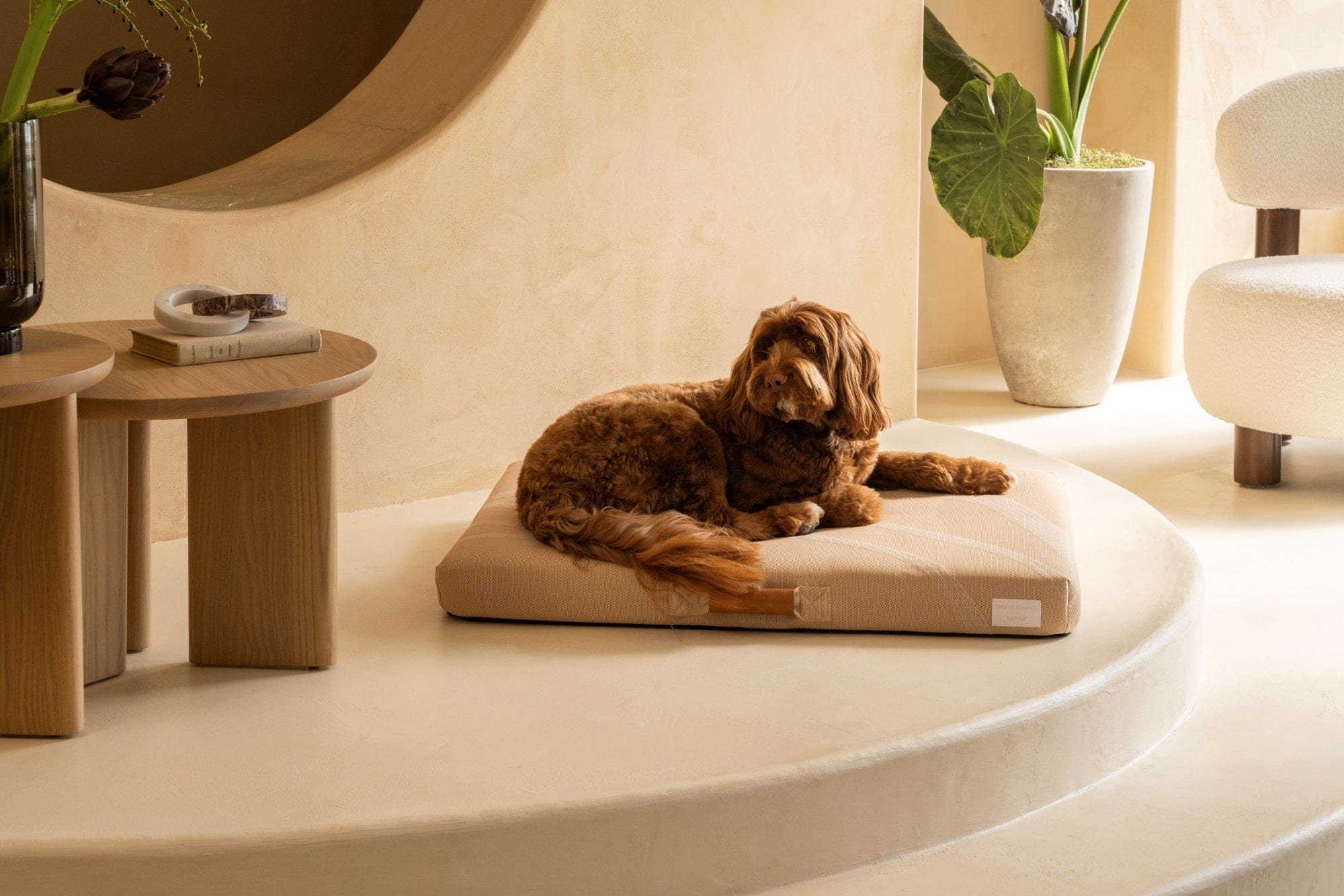 Brigette Romanek | Taupe Dog Bed or Bed Cover
